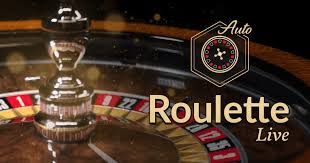 The Intriguing World of Roulette A Deep Dive into its Popularity in India